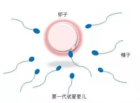 关于{ k1=g1 }